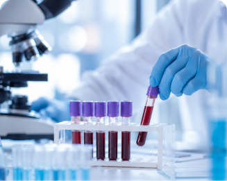 Why Regular Health Check-ups Matter